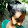 Disna Sandamali