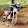 nathan grosset