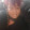 faith p smith