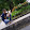 TheProPlayer 98