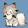 Foxirus R.