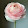 Nurah h