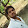 gu vinay2170