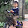 phương anh phạm
