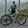 MTB roby