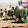 LABBEYKA YA HUSEYN