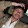 ELTD JacGamer12-