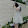 Huang Yen