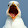 Golden Seagull