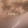 SametNessie