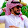 ابو جهاد الرقاوي