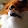 Caysenisgamerfox