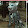 Je suis un khajiit alfiq