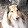 Clan des Loups