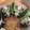 Pi In The Kitchen