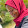 FATUMA ABEID