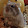 Chi the Anime cat