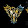 phoenix of karma