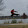Gaming Ninja_1184
