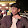 Areeb .R