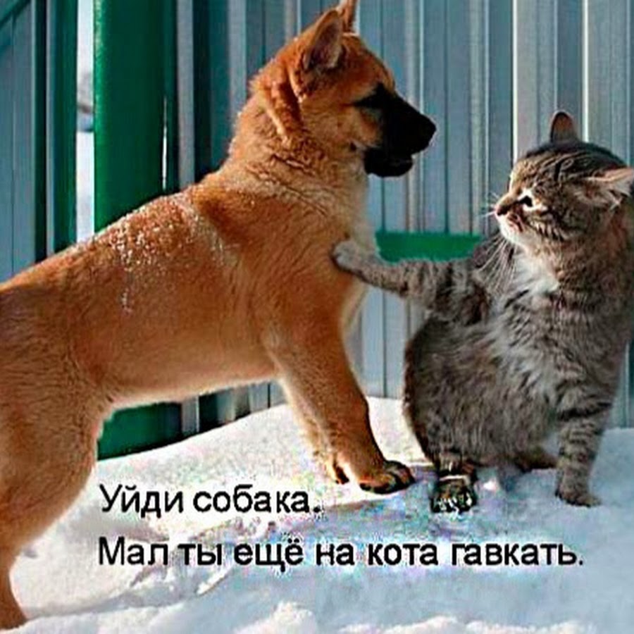 Теперь лижи teper-lizhi