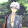 Flynn Gallagher Sharon Hirrel
