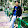 Saurav Rajput