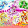 Chiến binh nụ cười và candy cute