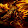 Dragon Fire