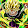 Goku Mui