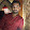Shayan Saha