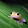 Quack 90