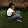 Chinwe
