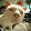 MAXX