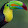LaVie Est un Toucan