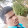 Basanta Sahoo