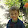 Furkan