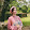 Anh Thư Ngô