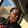 Mia Earvin