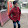 Shivam Laksh