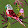 Savo_ 06