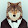 Gaming Wolf