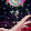 ASTAR_ Triffox