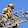 speedyspooley