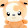 Awesum Bear