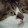 Starving cat games