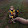 GMR xInstinctzz