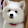 Wago