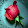 s santhini