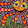 Chris_bsli
